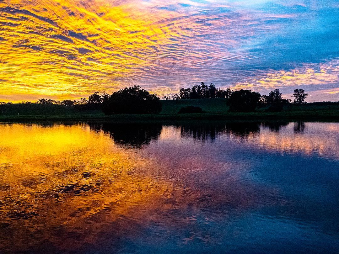 alinjarra speckle park