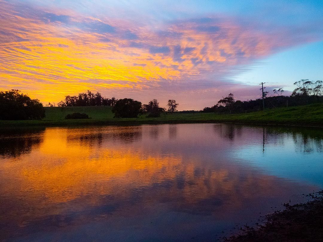 alinjarra speckle park