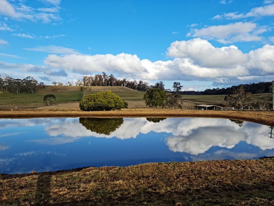 alinjarra speckle park