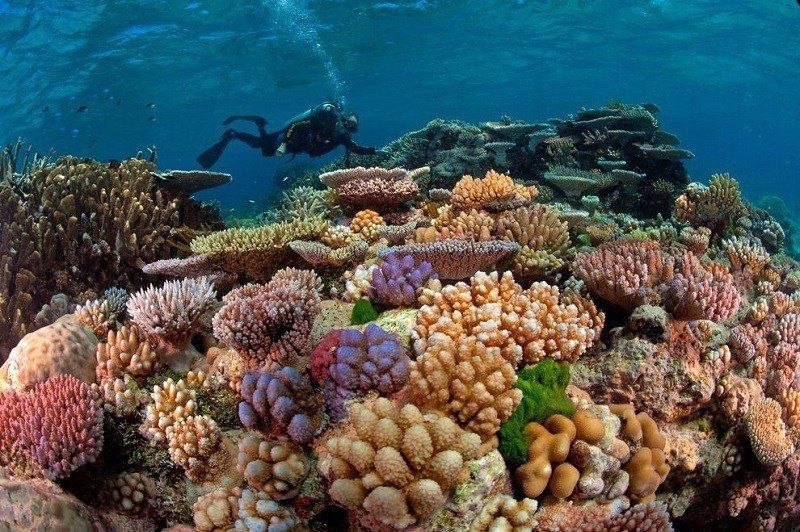 Great Barrier Reef