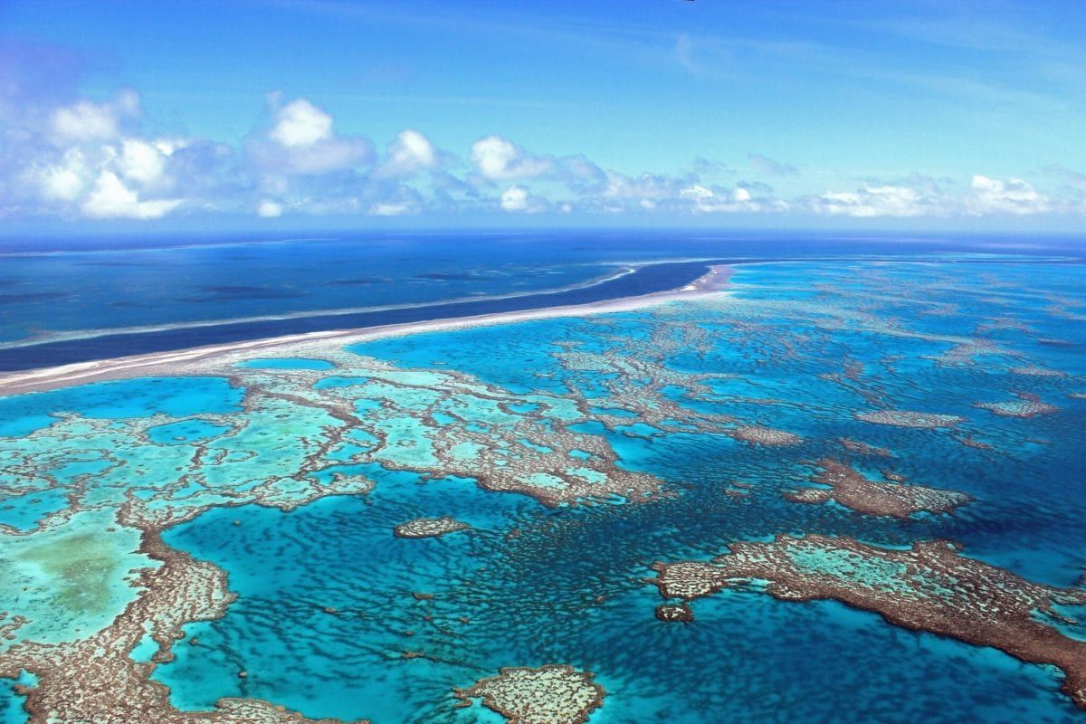 Coral reef in Australia