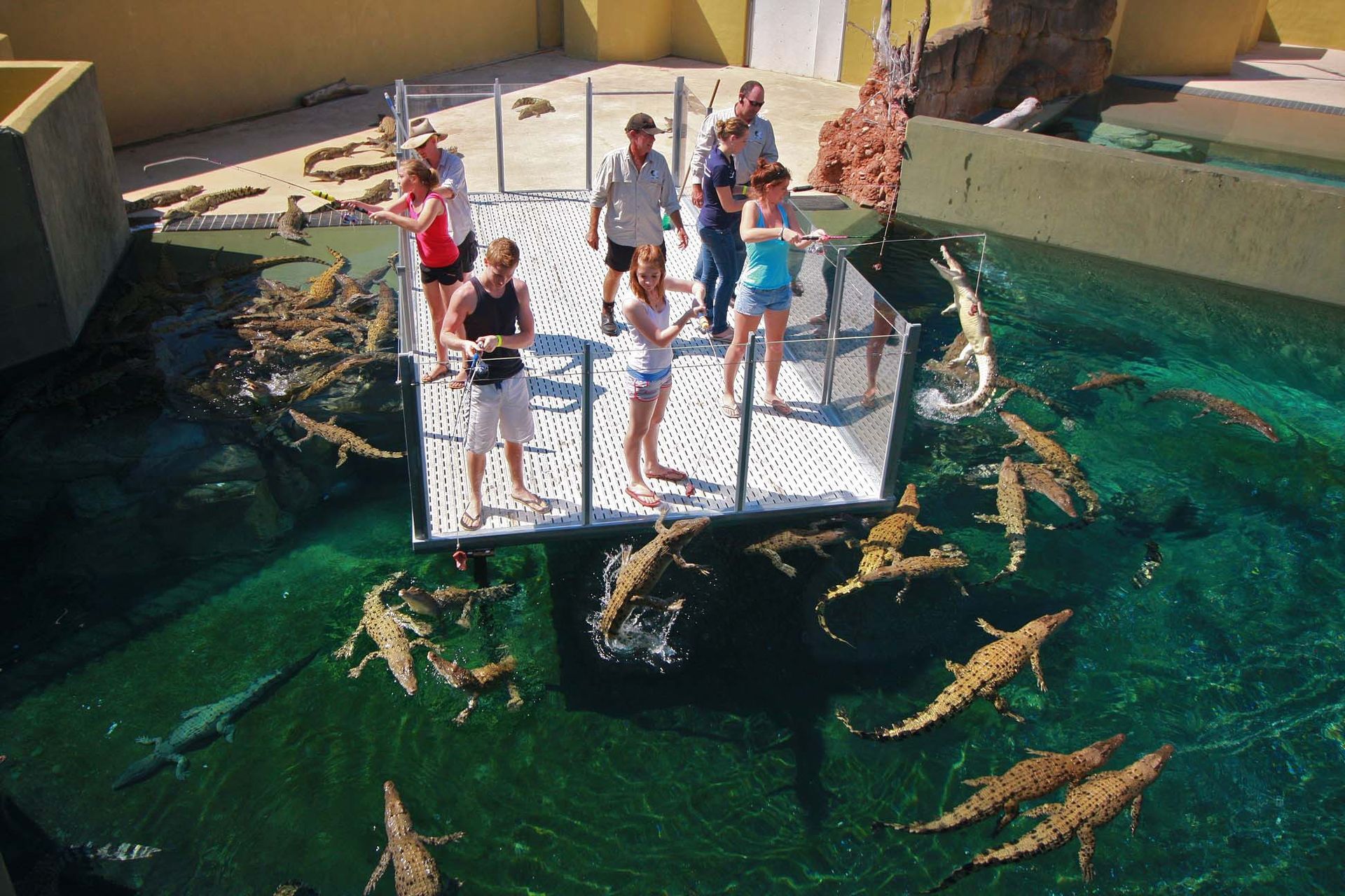 Crocosaurus Cove, Darwin City