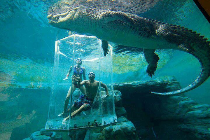 Crocosaurus Cove