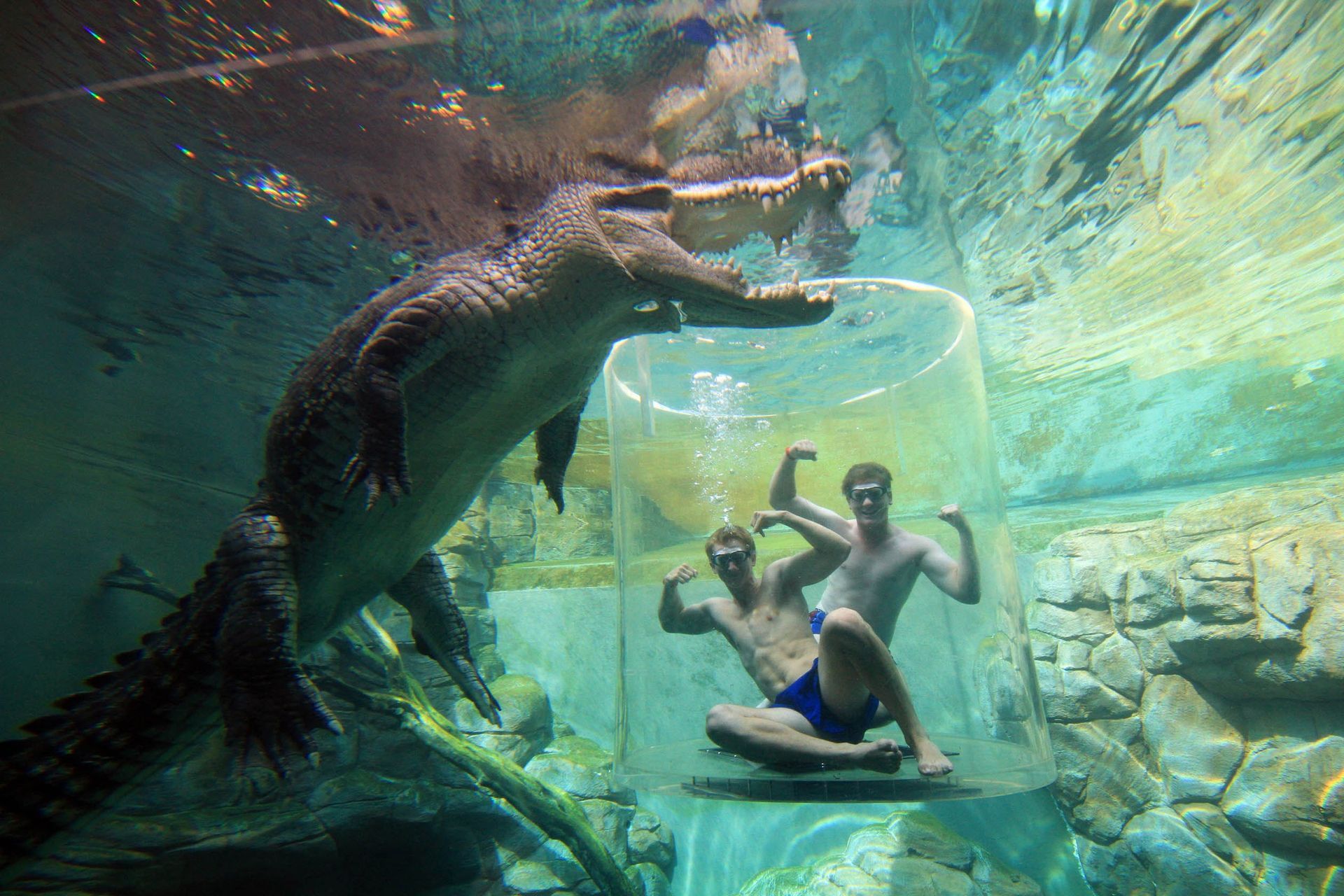 Crocosaurus Cove