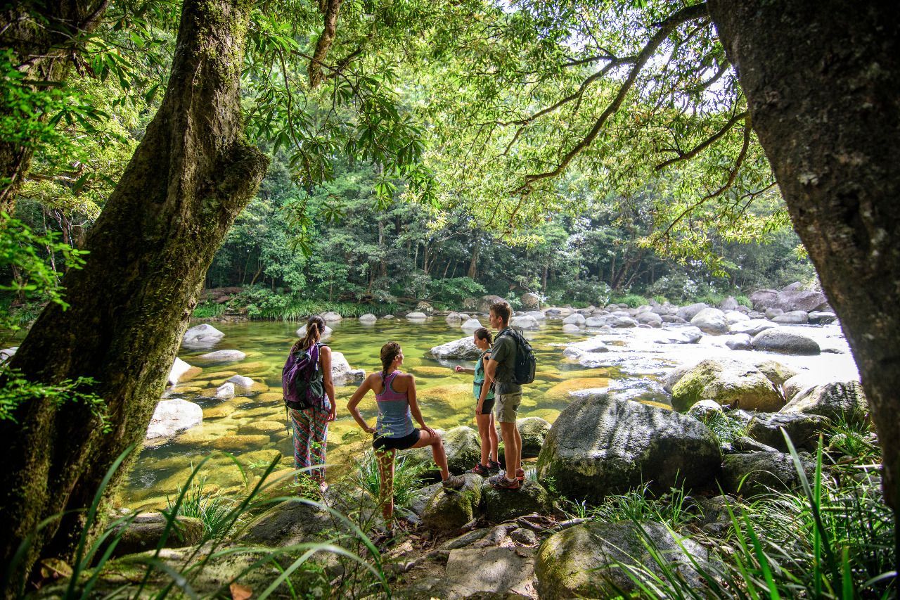 Daintree Rainforest