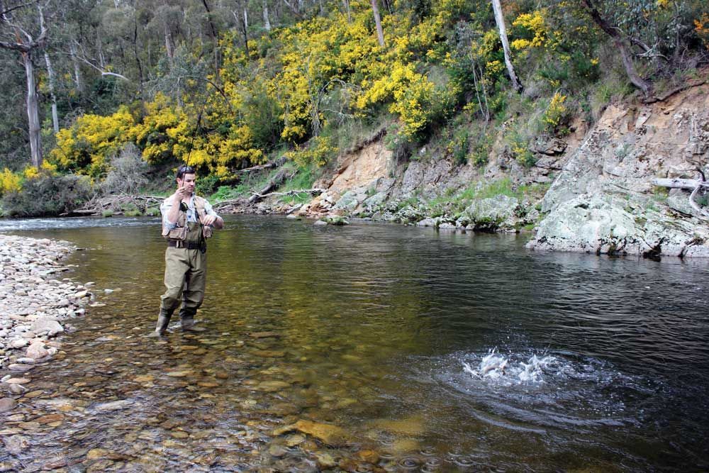 Fishing on the Mitta Mitta river