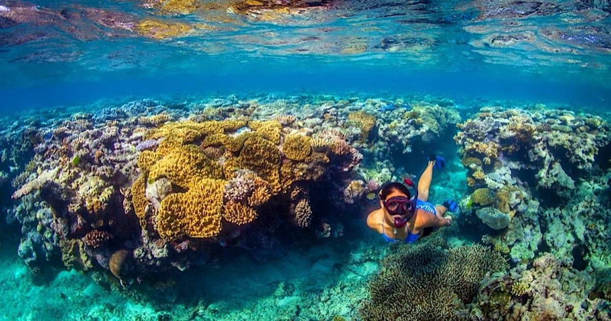 Great Barrier Reef, Australia