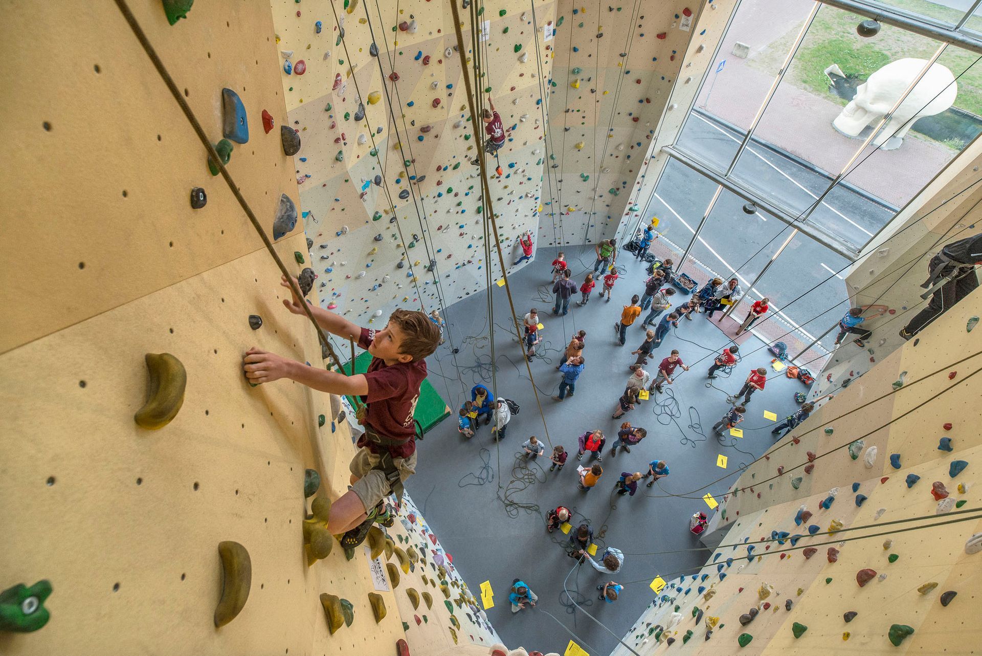 Indoor Rock Climbing