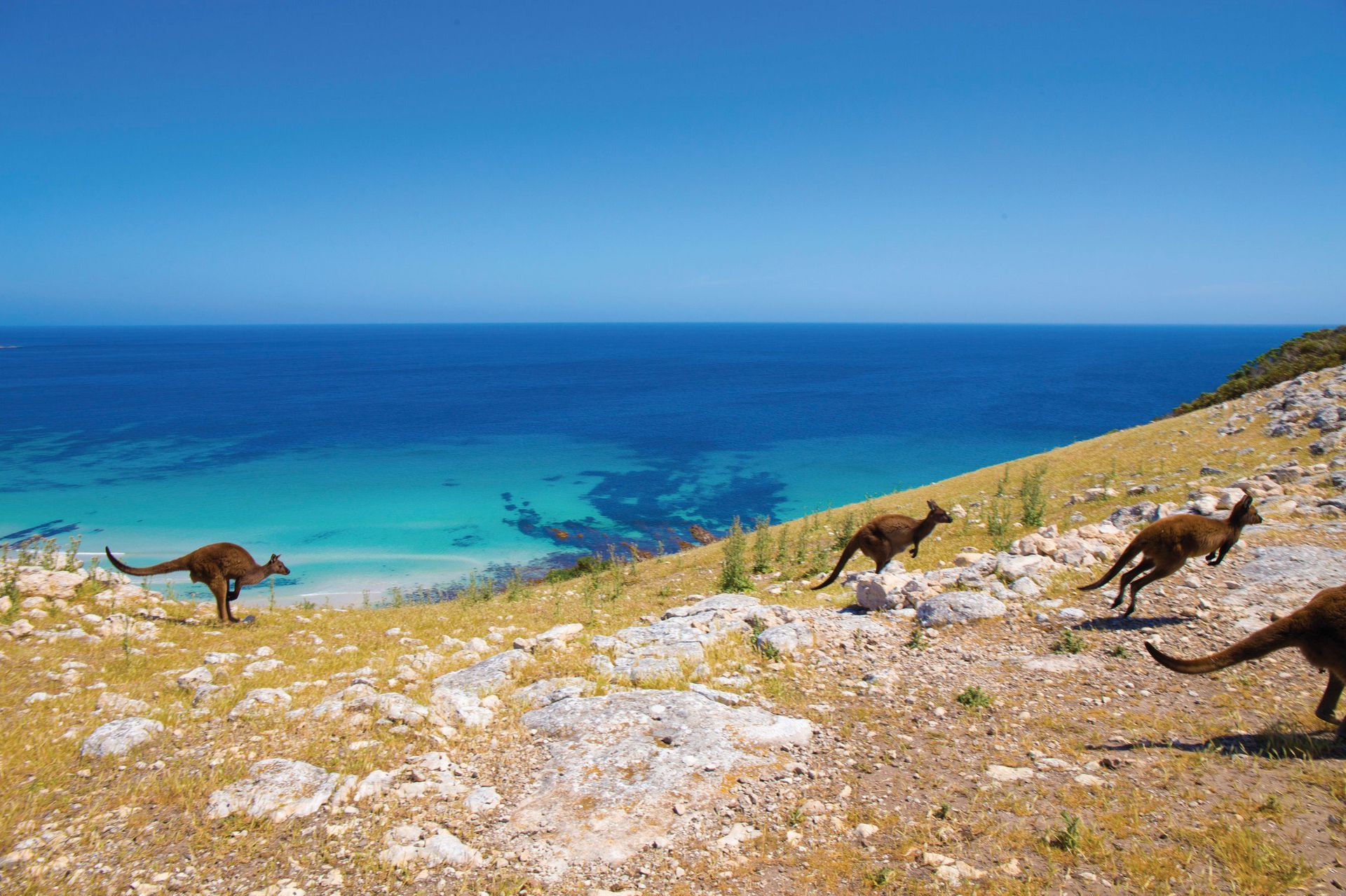 Kangaroo Island