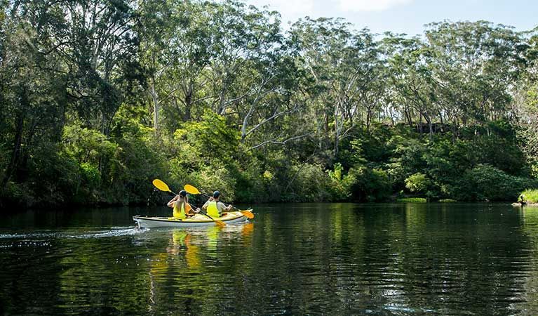 Lane Cove National Park River Walk