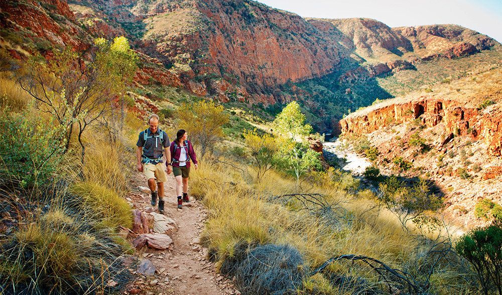 Larapinta Trail 