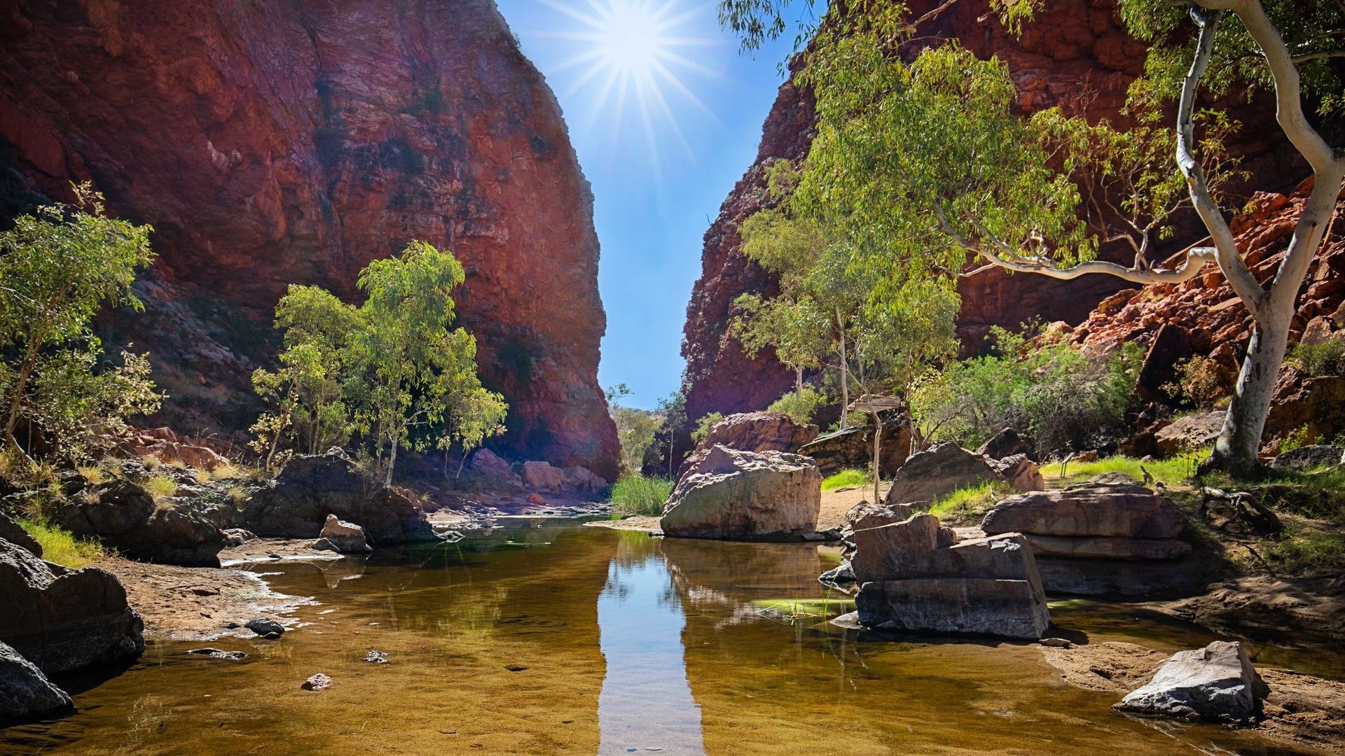 Larapinta Trail