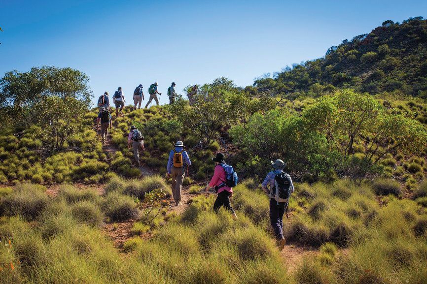 Best Time to Hike the Larapinta Trail: A Seasonal Guide