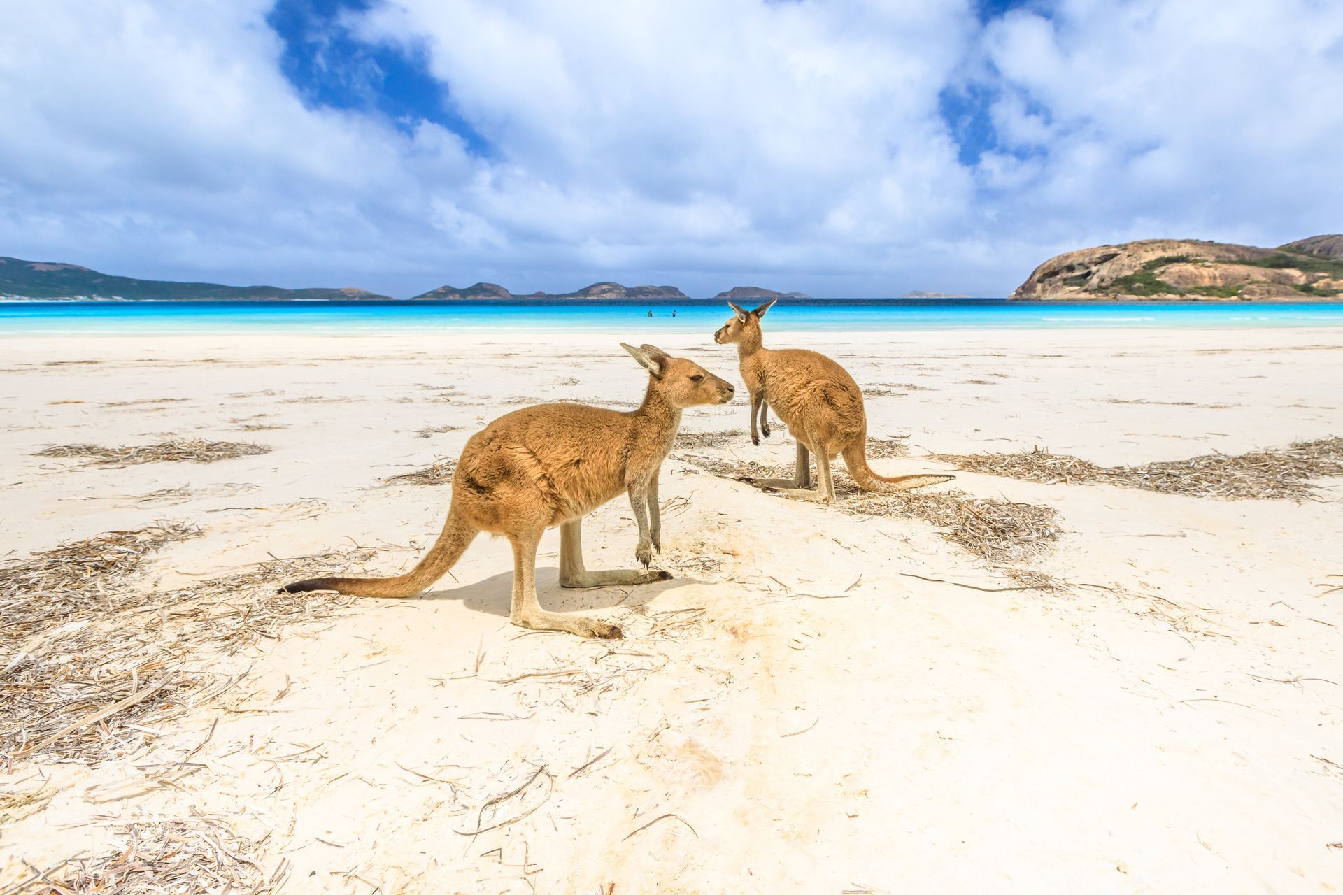 Lucky Bay, Cape Le Grand National Park