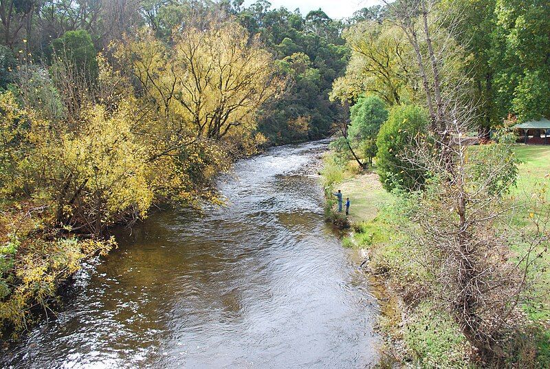 Mitta Mitta river