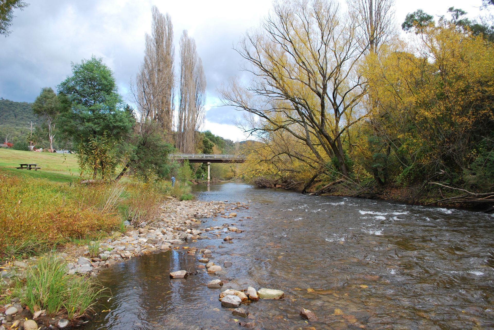 Mitta Mitta river