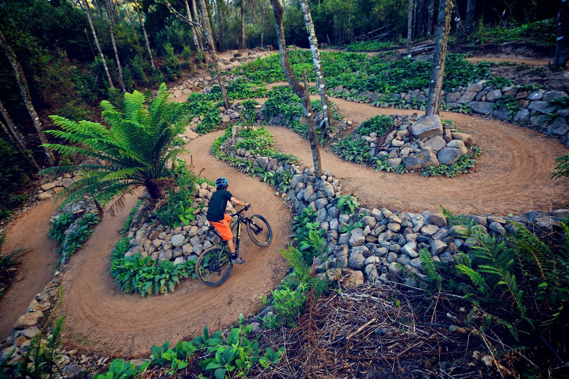 Mountain Bike Track in Blue Derby