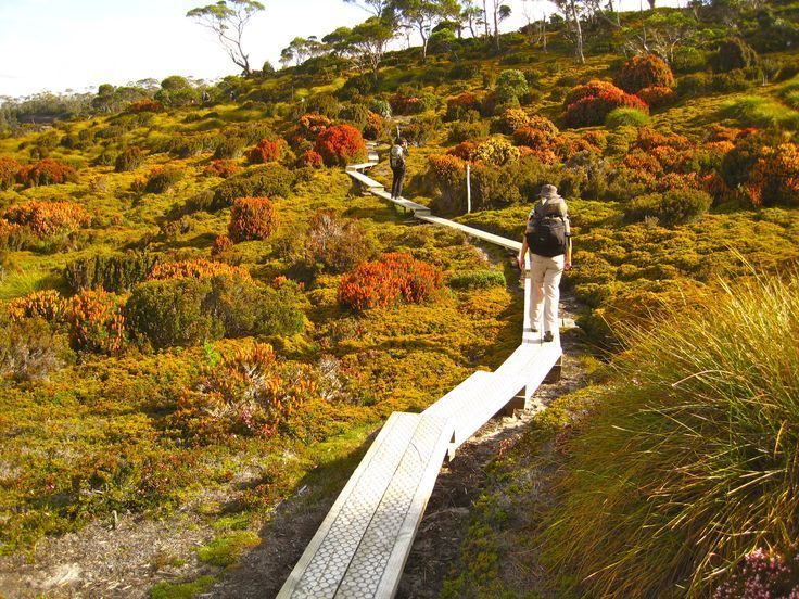 Overland Track, Tasmania