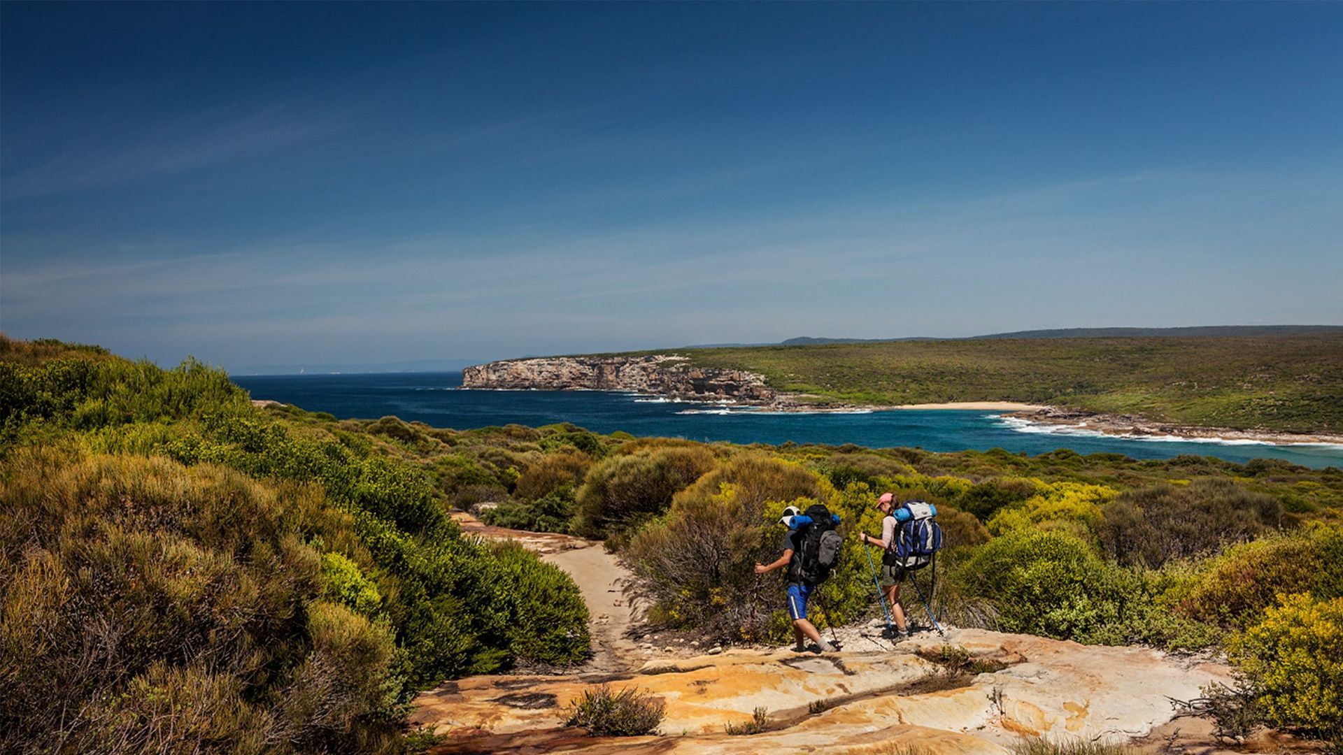 Royal National Park Australia