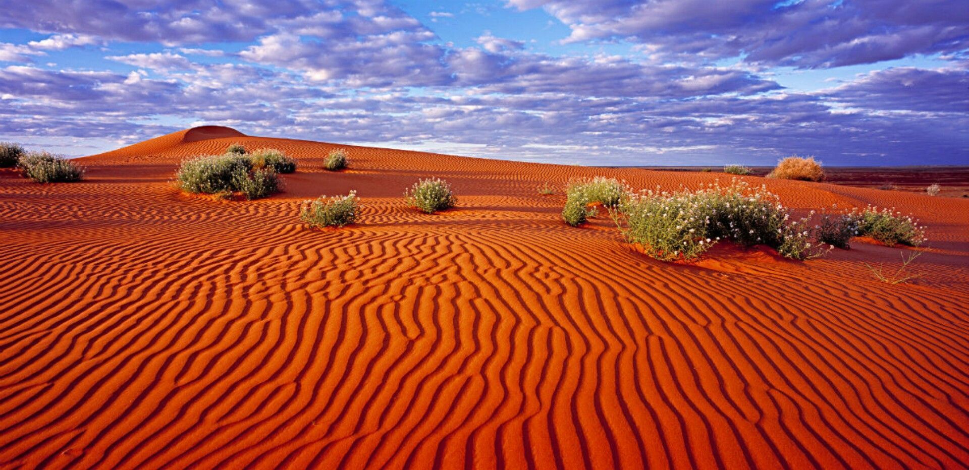 Simpson Desert