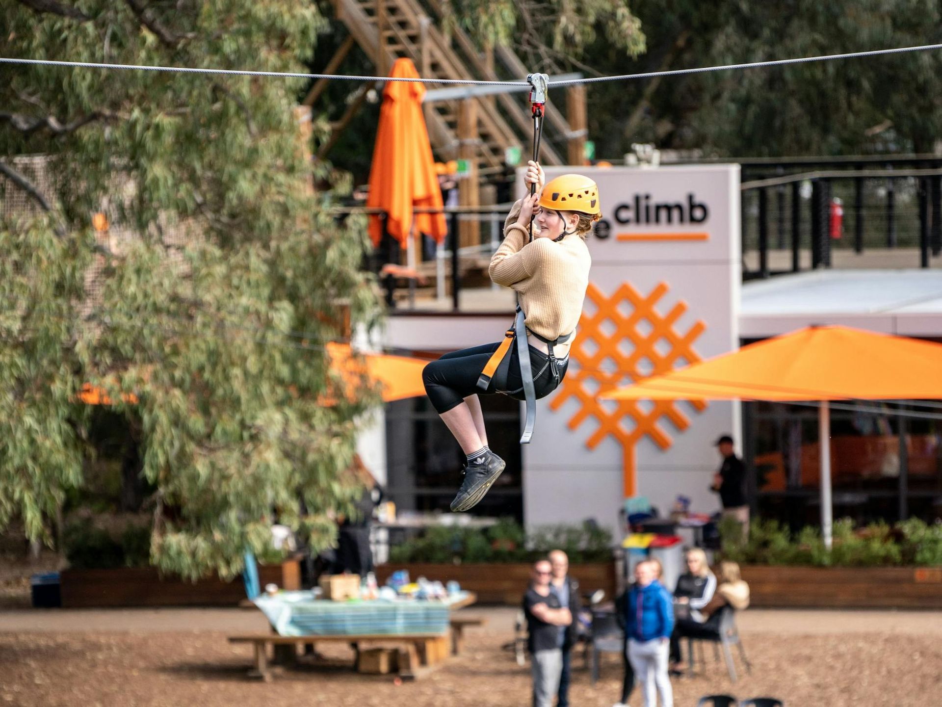 TreeClimb Adelaide 