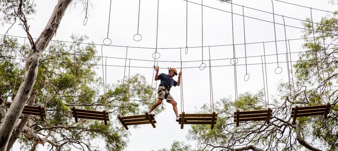 TreeClimb Adelaide