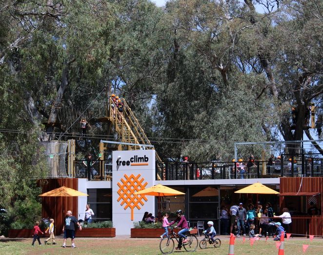 TreeClimb Adelaide