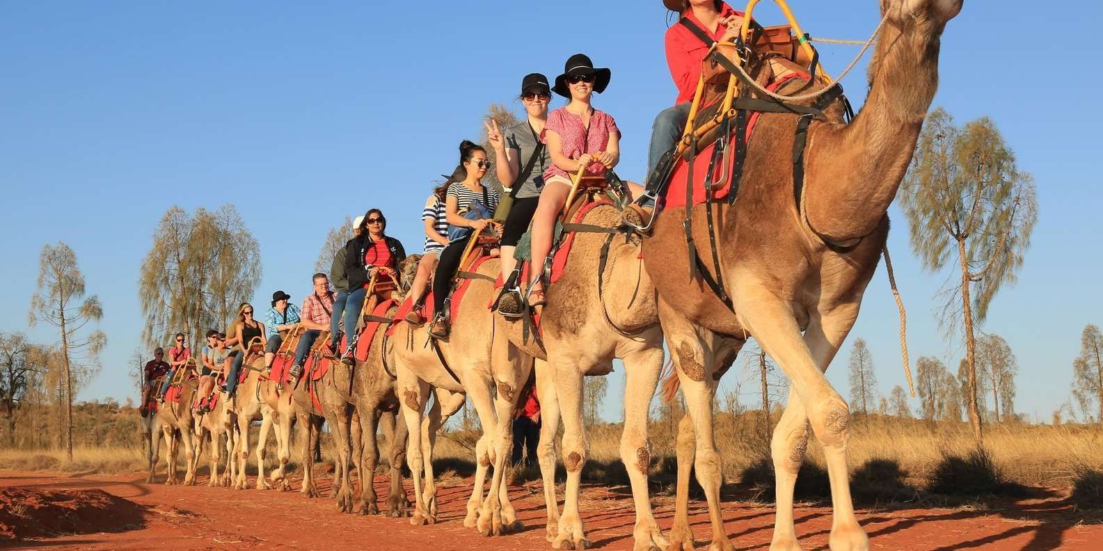 Uluru Camel Tours