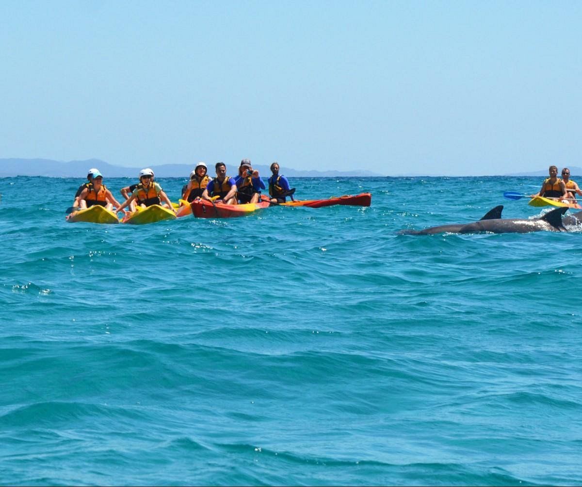 kayak tours in Byron Bay