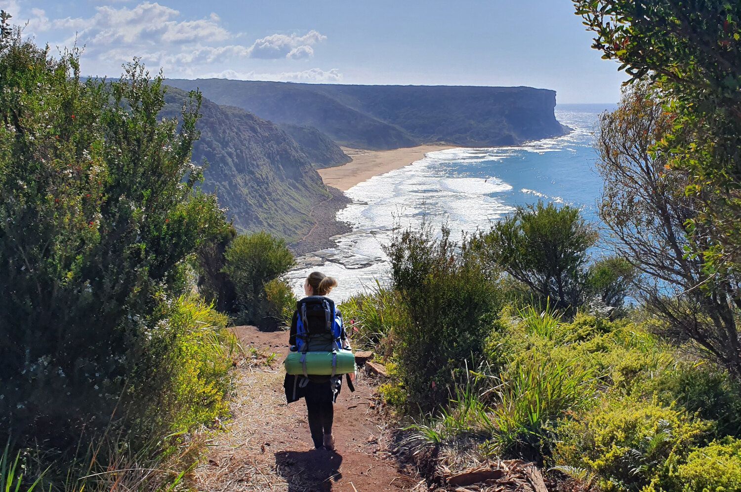 Royal National Park 