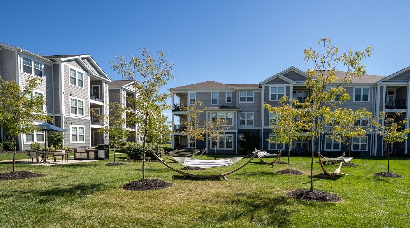 Two dogs on leashes, red dirt path, rocky landscape in background. One dog in grey shirt, pink harness, smiles. Cloudy sky.