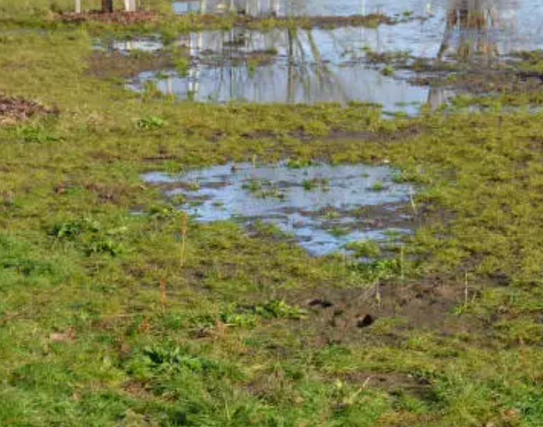 drainage problems in nothern ca