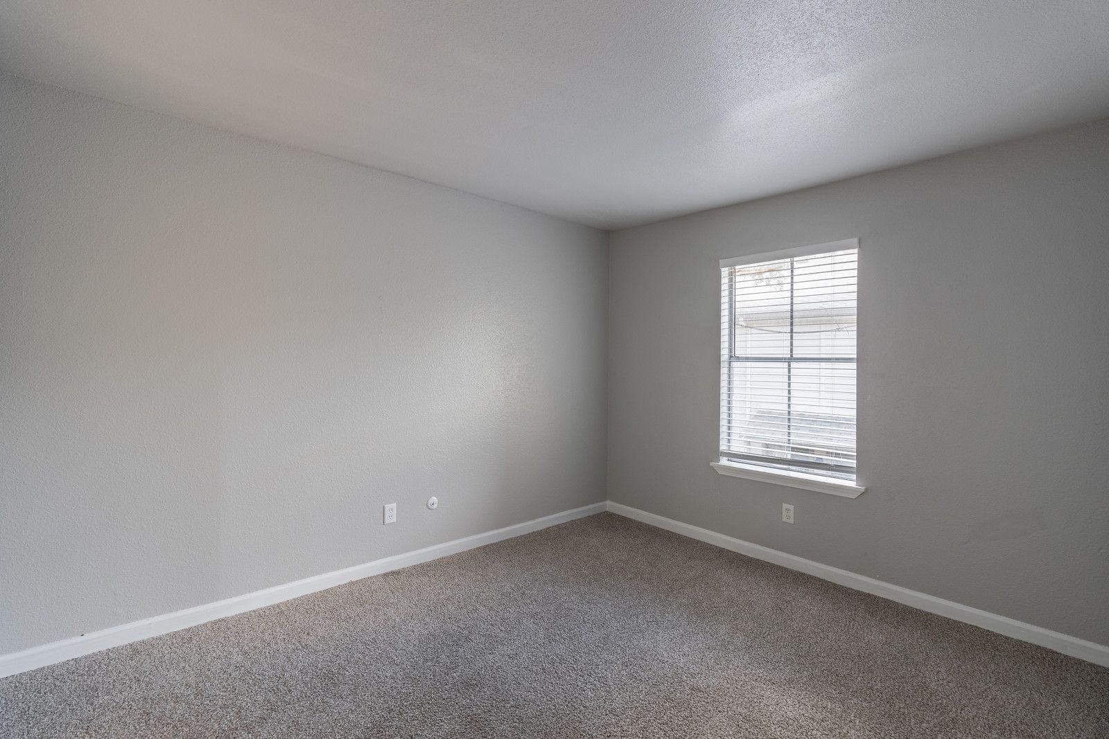 New Haven Apartments