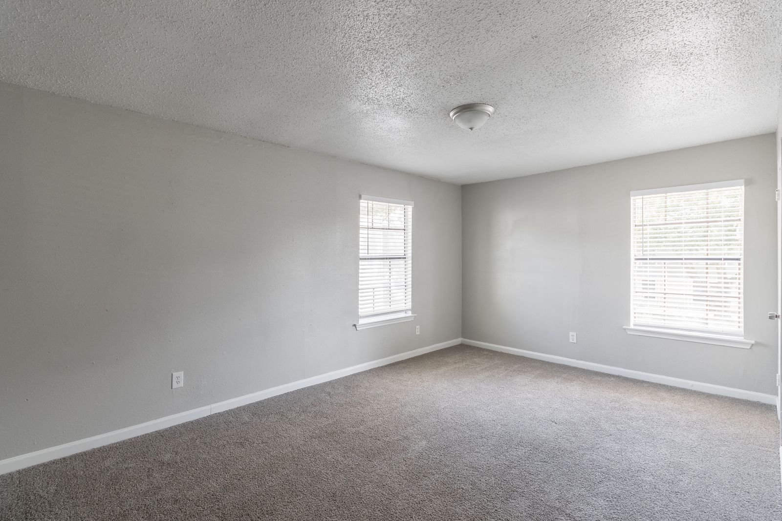 New Haven Apartments