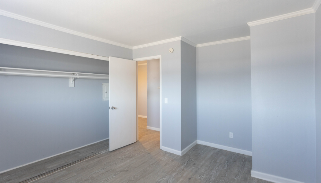 Little Armadillo Apartments