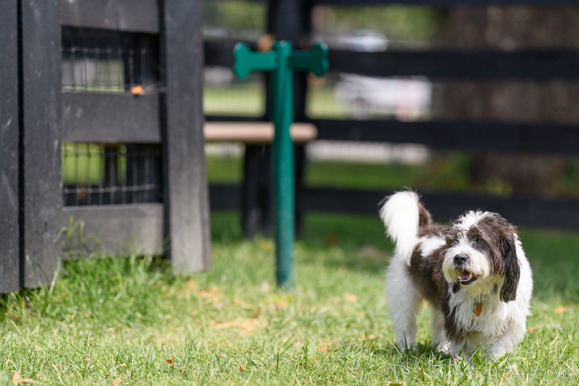 Exterior | Townhomes at Fontaine
