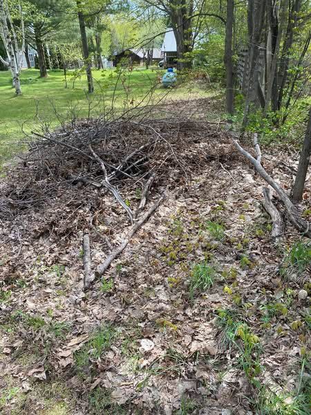Pile of leaves and branches on the ground, in a grassy area near trees.