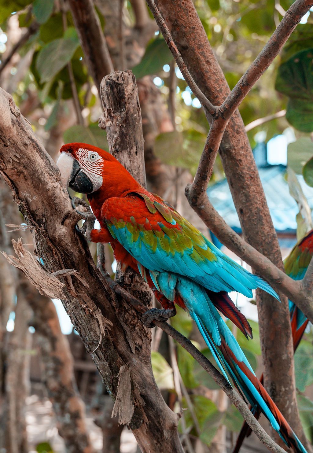 Biodiversidad en Palomino