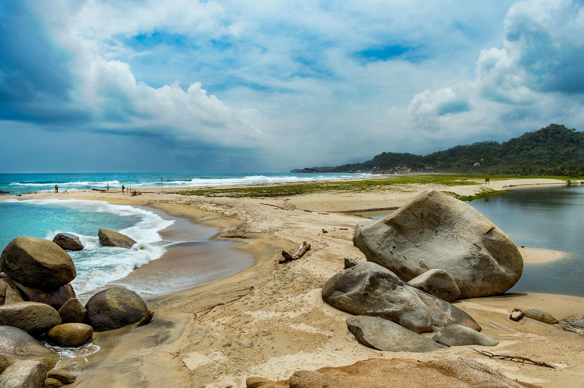 Sendero selvático del Parque Tayrona