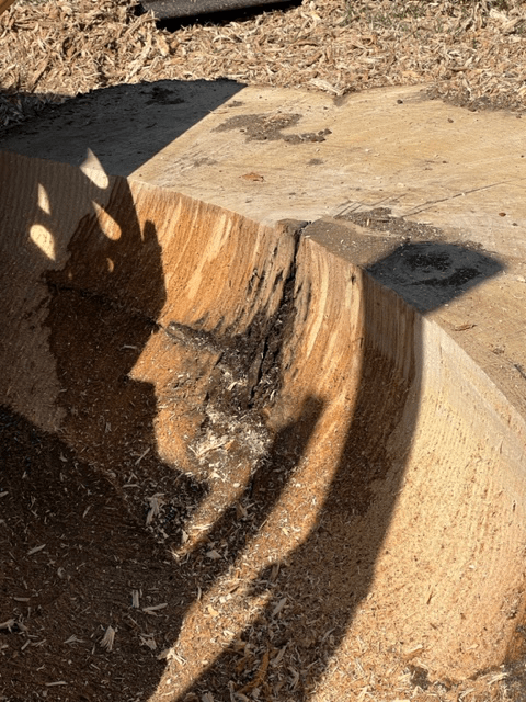 Tree Stump 02 — Scottsburg, IN — Stumps N Moore