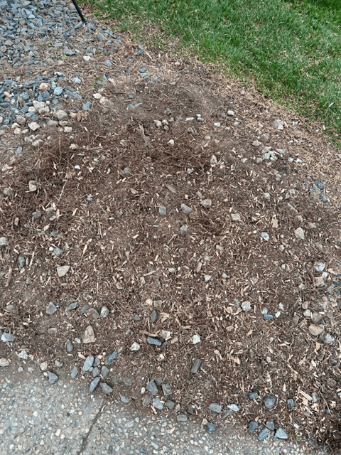 Tree Stump 07 — Scottsburg, IN — Stumps N Moore