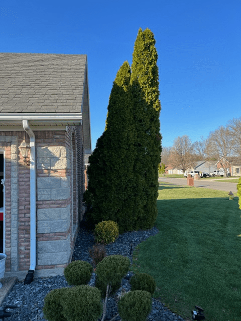Residential Home — Scottsburg, IN — Stumps N Moore