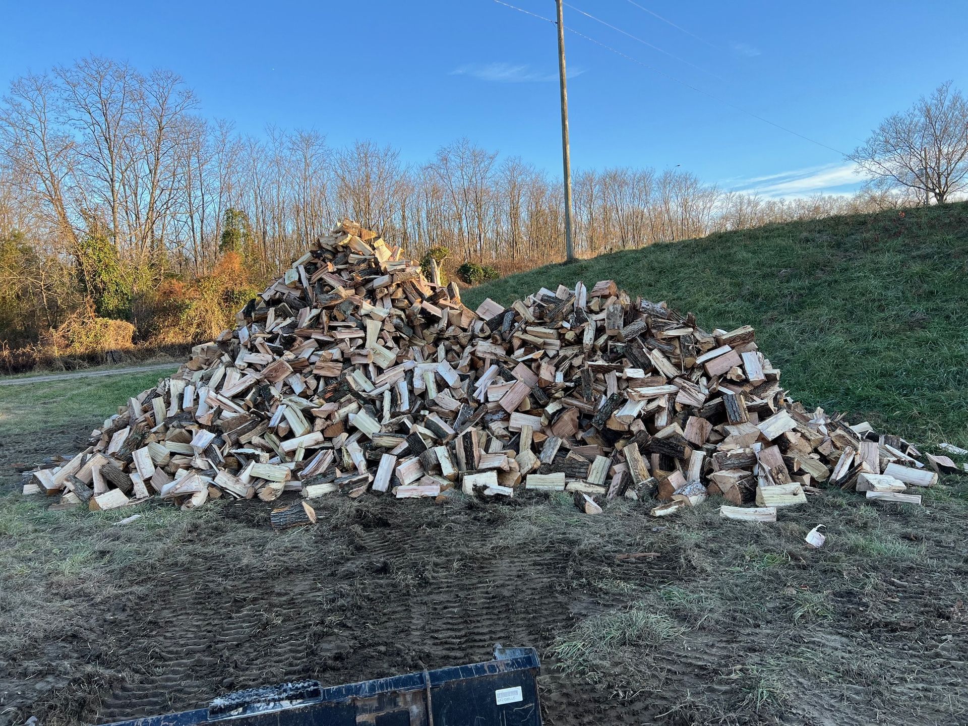 Tree Stump 09 — Scottsburg, IN — Stumps N Moore