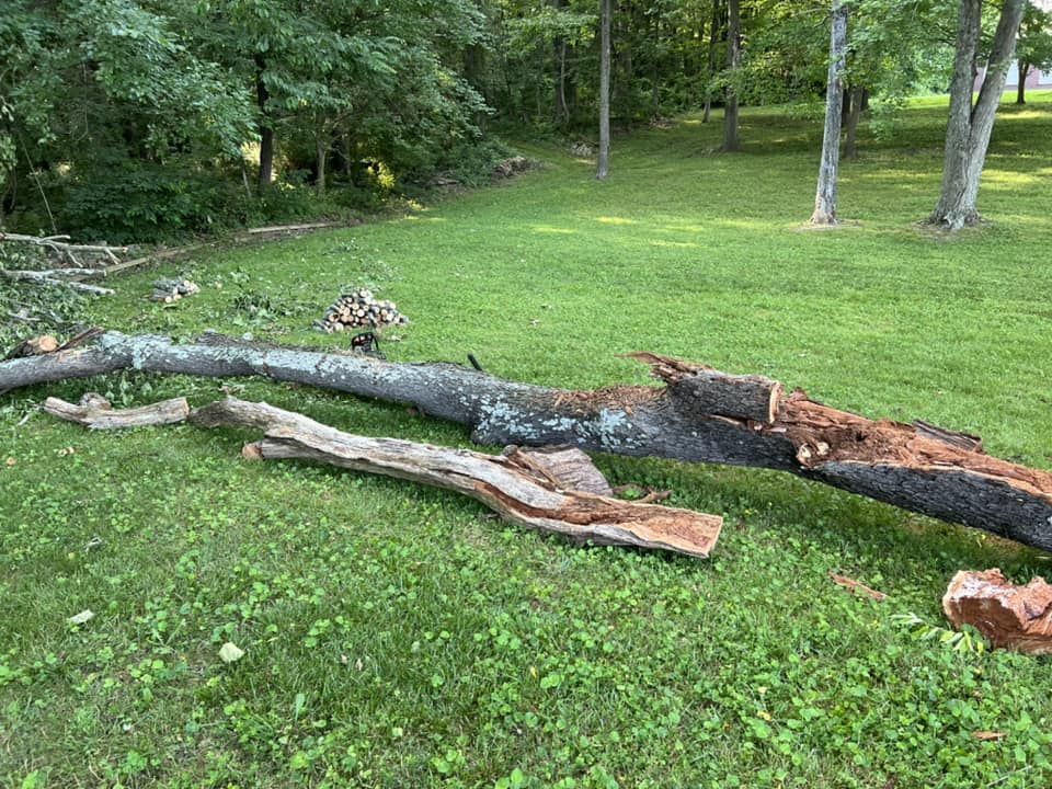Wide Yard — Scottsburg, IN — Stumps N Moore