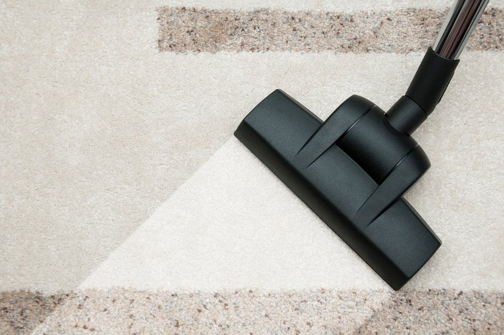 Vacuum Cleaner Nozzle Cleaning Carpet — Ducted Vacuum Installations & Repairs in Tamworth