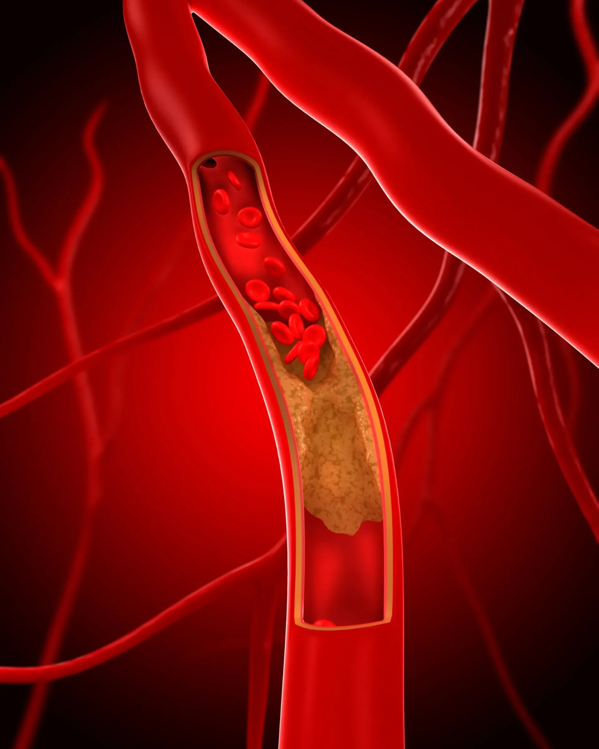 Unité de Cardiologie Pédiatrique