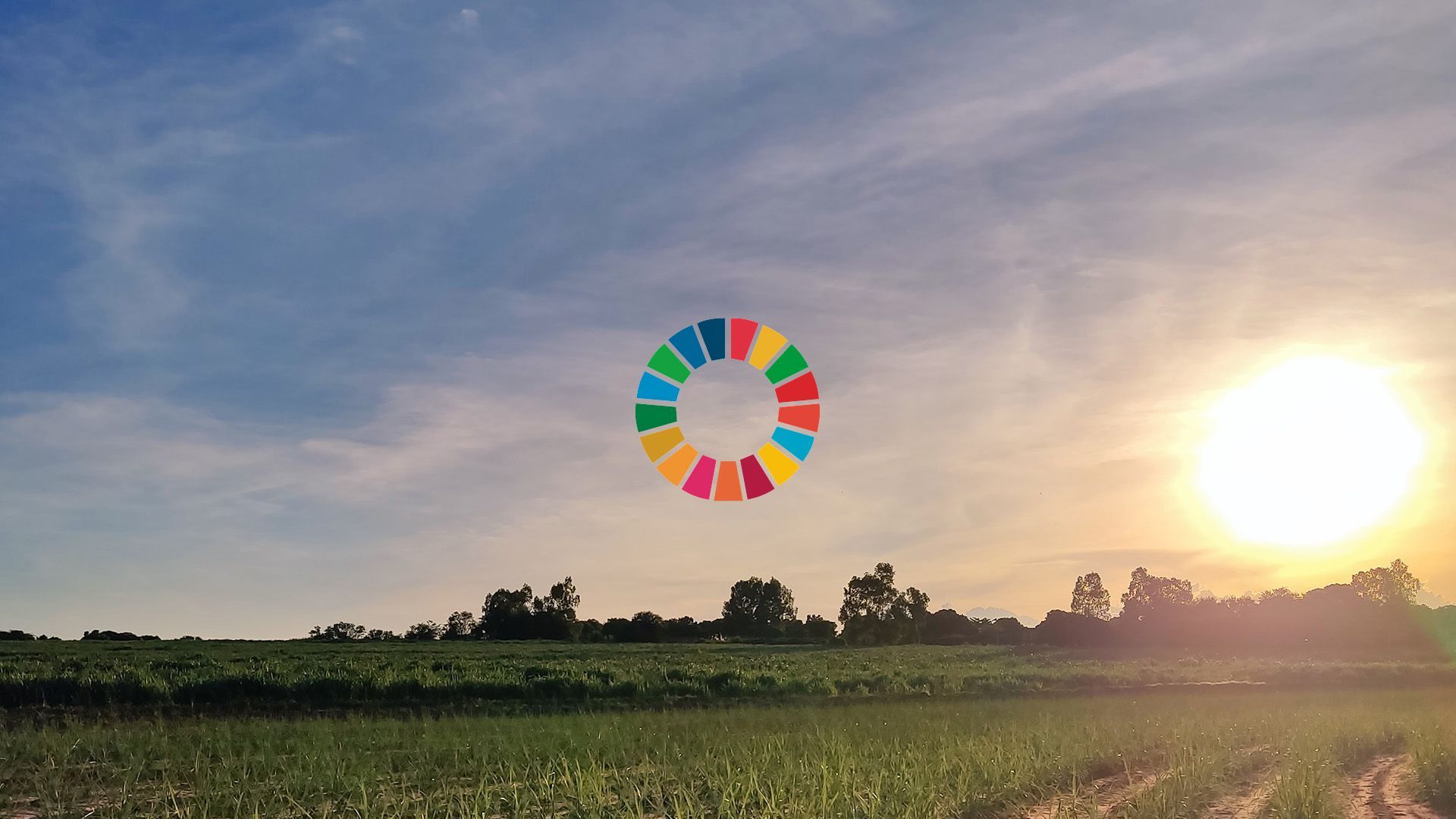 icone sustentabilidade