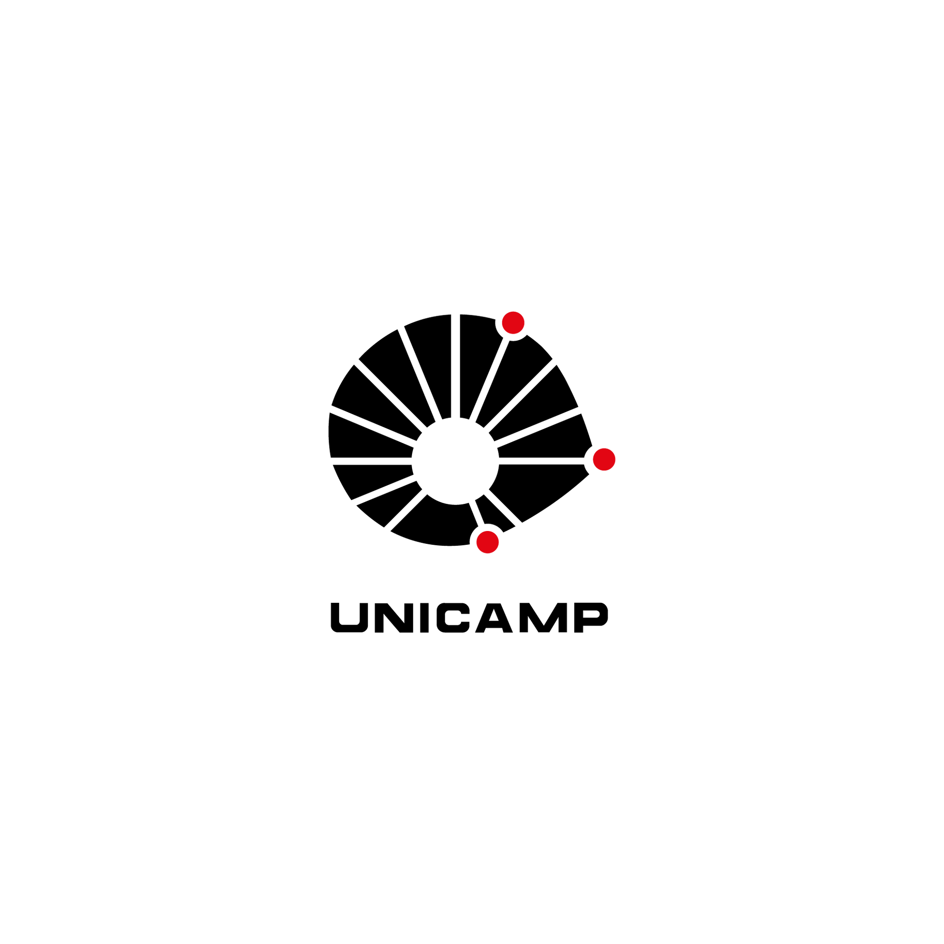 logo unicamp