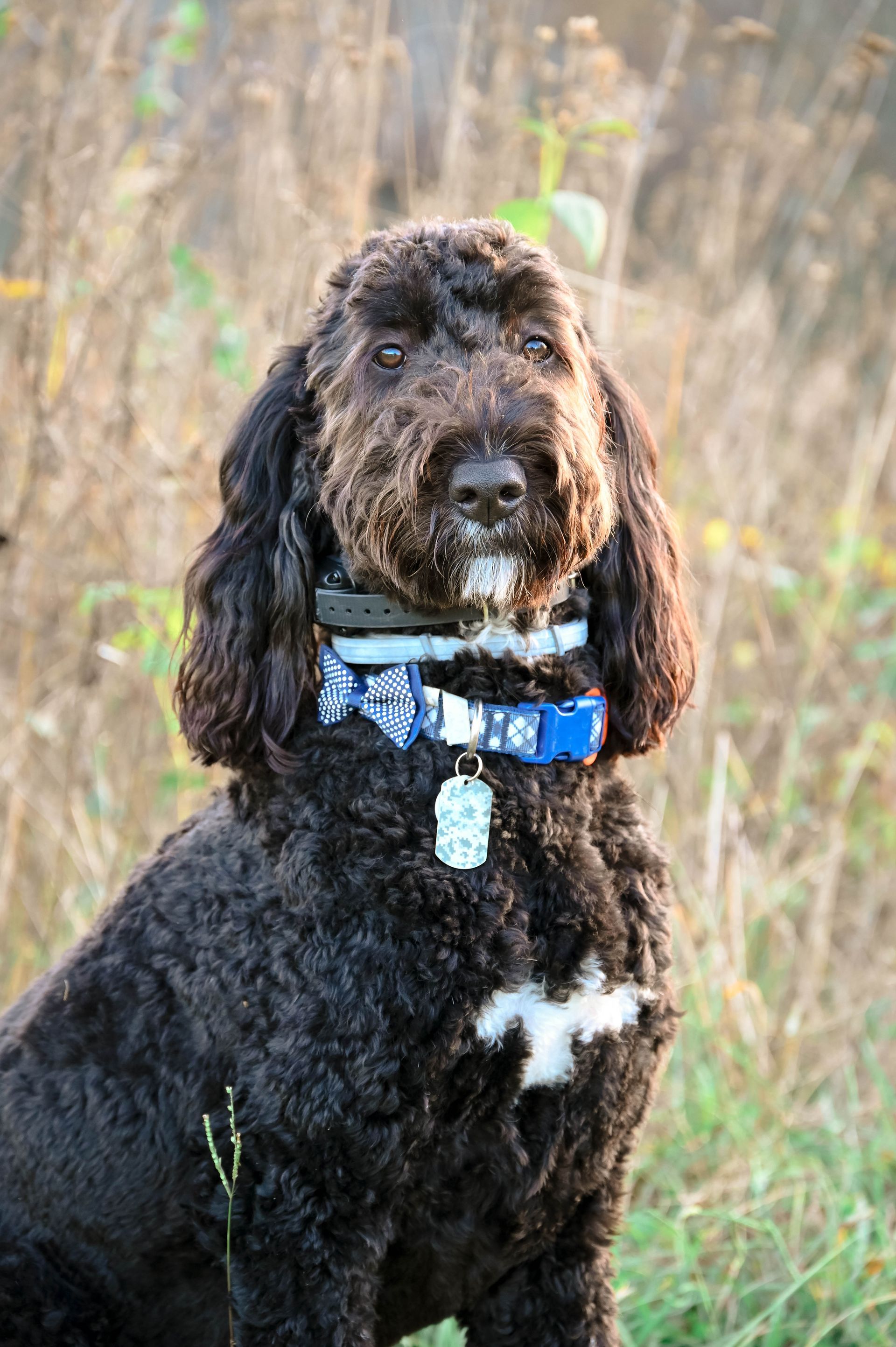 Finley