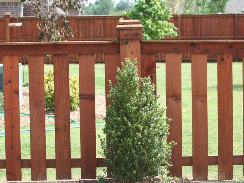a wooden fence with a bush in front of it